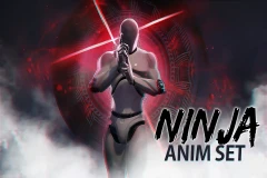 Bare Ninja AnimSet