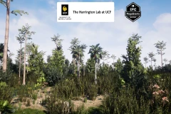 Basin Swamp Habitat Brush