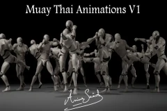 Combat animations - Kickboxing and Muay Thai V1