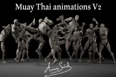 Combat animations - Kickboxing and Muay Thai V2