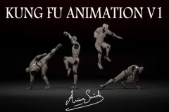 Combat animations - Kung fu V1