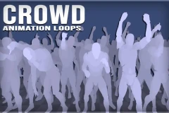 Crowd Animation Loops
