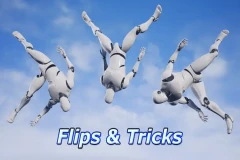 Flips and Tricks