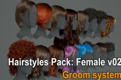 Hairstyles Pack: Female v02