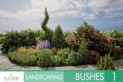 Landscaping Bushes 1