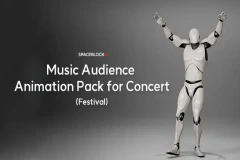Music Audience Animation Pack for Concert(Festival)