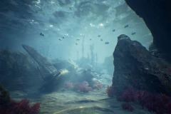 Ocean Floor Environment