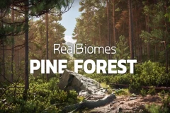 RealBiomes Scots Pine Forest