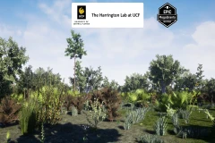 Scrub Habitat Brush