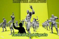 Tactical Hand Signals
