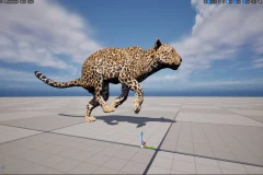 Indian Leopard Control Rig