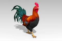 Rooster