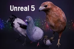Bird Band