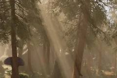 Fantasy Forest - Forest Environment