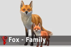 Fox - Family