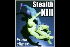 Frank Stealth Kill