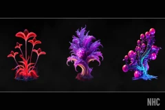 NHC - Fluorescent Nature Pictures Pack 2