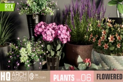 HQ Plants Vol. 6 ( Flowered Plants )