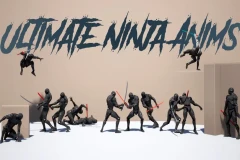 Ultimate Ninja Anims