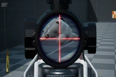 Weapon FOV