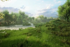 Medieval Forest