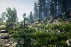 Environment Set