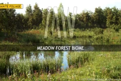 MW Meadow Forest Trees Biome
