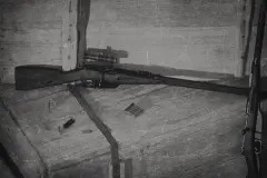 Mosin Nagant M1891