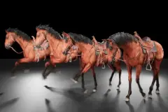 Realistic Horse with Animations