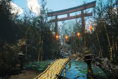 Bamboo grove