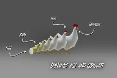 Chicken AI