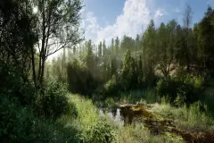PCG Biome: Forest Poplar (Interactive Foliage, Trees, Wind System, Nature)