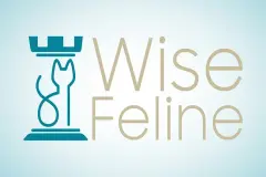 Wise Feline Influence Maps (spatial decision making system)