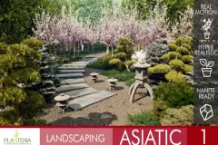 Landscaping Asiatic 1
