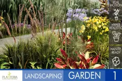 Landscaping Garden 1