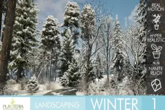 Landscaping Winter 1