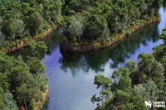 The Pine Environment (Foliage , Island , PCG , Nature , River )