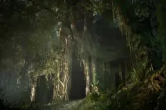 Deep in the Forest