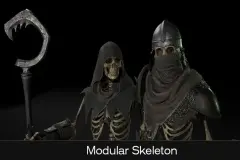 Modular Skeleton