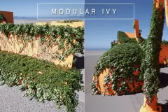 Realistic Modular Ivy & Vines Plants Pack with Customization
