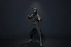 Samurai Ninja