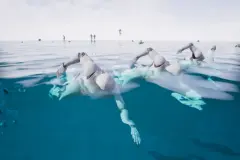 Swim Animset