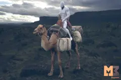 Camel Fantasy