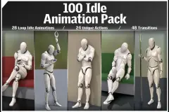 100 Idle Animation Pack