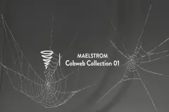 MAE Cobweb Collection 01