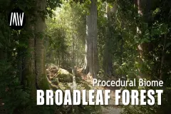MW Broadleaf Forest Trees Biome