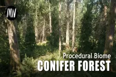 MW Conifer Forest Trees Biome