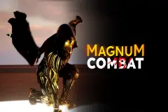Magnum Combat