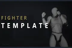 Fighter Template