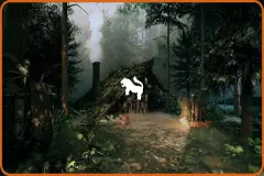 Sorcerer's Hut Environment ( Wizard Hut Fantasy Sorcerer Hutting Witch Witch )
